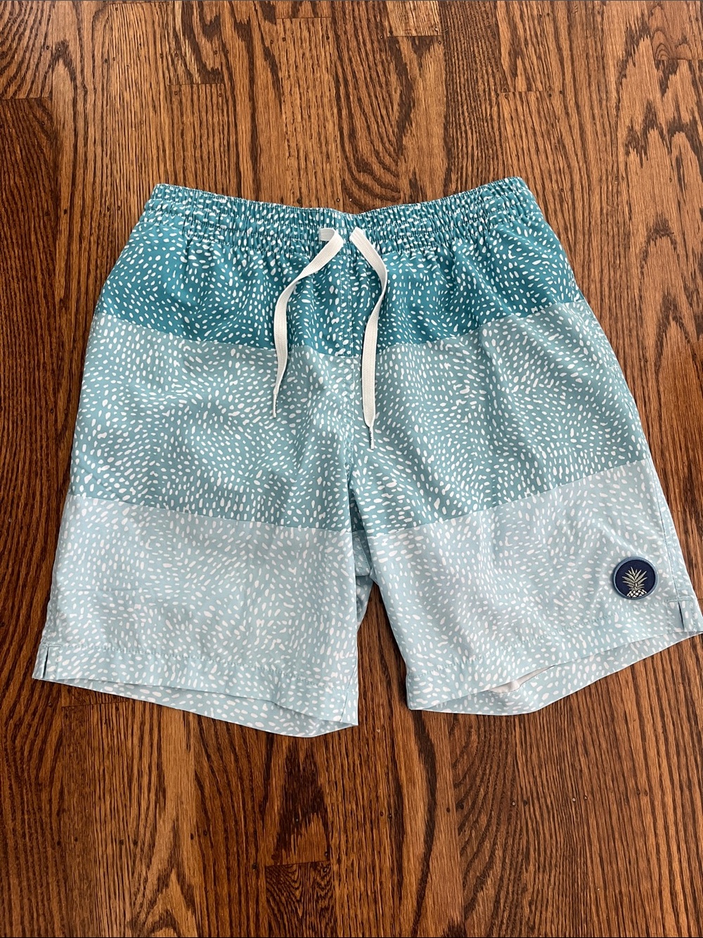 chubbies Teal and Seafoam Striped Swim Shorts